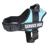 Seler til servicehunde