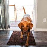 CleanPaw Mat | Hundedør Rengøringsmåtte