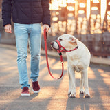 Hunde Muzzle Åndbart Nylon