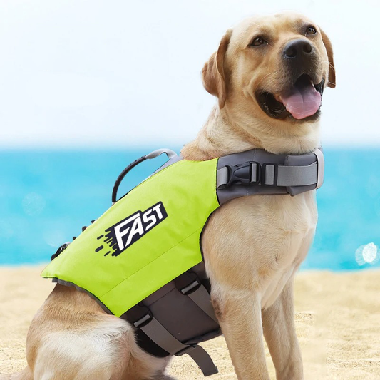 Hund Premium Svømmevest Med Håndtag