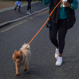 Håndfri Hundesnor Nylon Nem At Gå Med