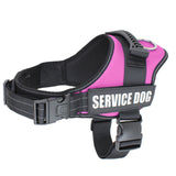 Seler til servicehunde