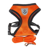 PawFit™ | Selen med snor til hunde og katte