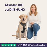 Hundefryd™ Hundesele Anti-Træk med Kontrolhåndtag | Reflekterende Justerbart Vest
