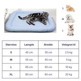 Superblødt Kølende Hundeseng med Memoryskum Vaskbart og Åndbart Design