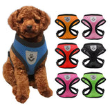PawFit™ | Selen med snor til hunde og katte