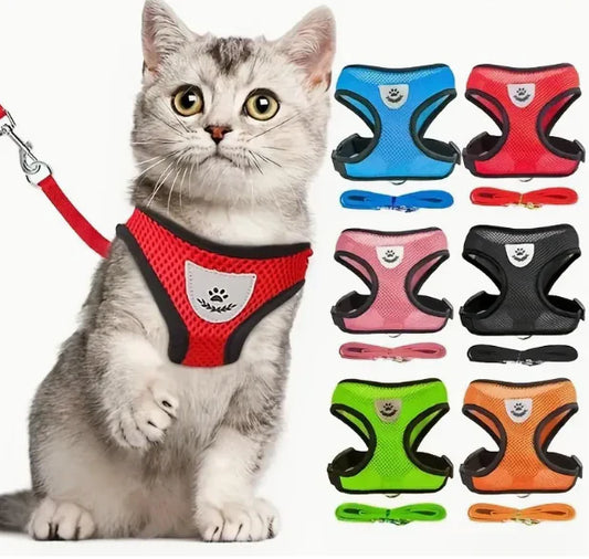 PawFit™ | Selen med snor til hunde og katte
