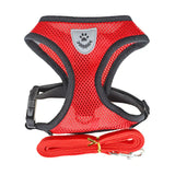 PawFit™ | Selen med snor til hunde og katte