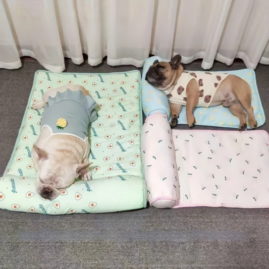 Kølende Hundeseng Med Pude Selv-kølende Komfortabel Plys Støtte Letvægts Bærbar