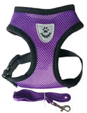 PawFit™ | Selen med snor til hunde og katte