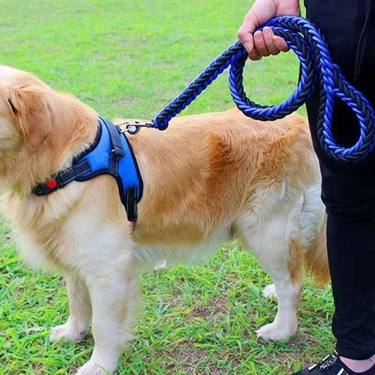 Stærk Vevet Hundesele til Store og Mellemstore Hunde