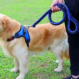 Stærk Vevet Hundesele til Store og Mellemstore Hunde
