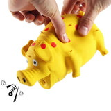 Squeaky Leuk Varkens Hundelegetøj