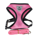 PawFit™ | Selen med snor til hunde og katte