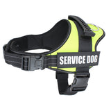 Seler til servicehunde