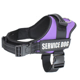 Seler til servicehunde