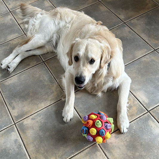 FunBall™ | Snusebold Hund Puslespil Legetøj