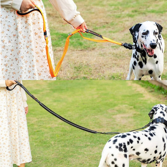 Tung Taktisk Elastisk Hundesnor