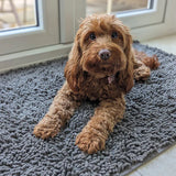 CleanPaw Mat | Hundedør Rengøringsmåtte