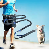 Reflekterende Håndfri Elastisk Hundesnor