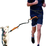 Reflekterende Håndfri Elastisk Hundesnor