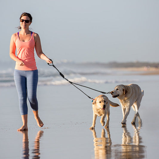 Split Nylon Hundesnor til Tre Hunde