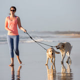 Split Nylon Hundesnor til Tre Hunde