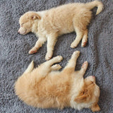 Fluffy Fleece Tæppe
