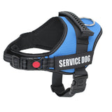 Seler til servicehunde