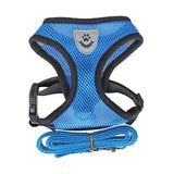 PawFit™ | Selen med snor til hunde og katte