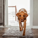CleanPaw Mat | Hundedør Rengøringsmåtte