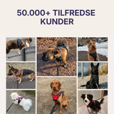 Hundefryd™ Hundesele Anti-Træk med Kontrolhåndtag | Reflekterende Justerbart Vest