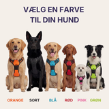 Hundefryd™ Hundesele Anti-Træk med Kontrolhåndtag | Reflekterende Justerbart Vest
