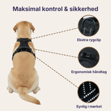 Hundefryd™ Hundesele Anti-Træk med Kontrolhåndtag | Reflekterende Justerbart Vest