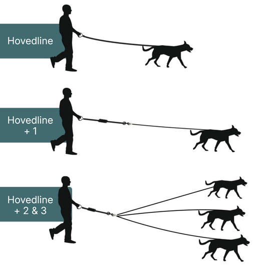 Split Nylon Hundesnor til Tre Hunde