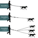 Split Nylon Hundesnor til Tre Hunde