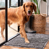 CleanPaw Mat | Hundedør Rengøringsmåtte