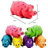 Squeaky Leuk Varkens Hundelegetøj