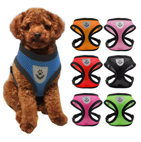 PawFit™ | Selen med snor til hunde og katte