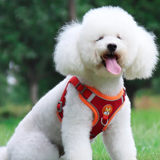 Justerbart hundesele Reflekterende Polyester Holdbart Design