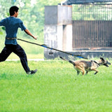 Reflekterende Håndfri Elastisk Hundesnor