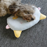 Lille Hunden pude